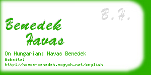 benedek havas business card